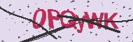 Captcha認証コード